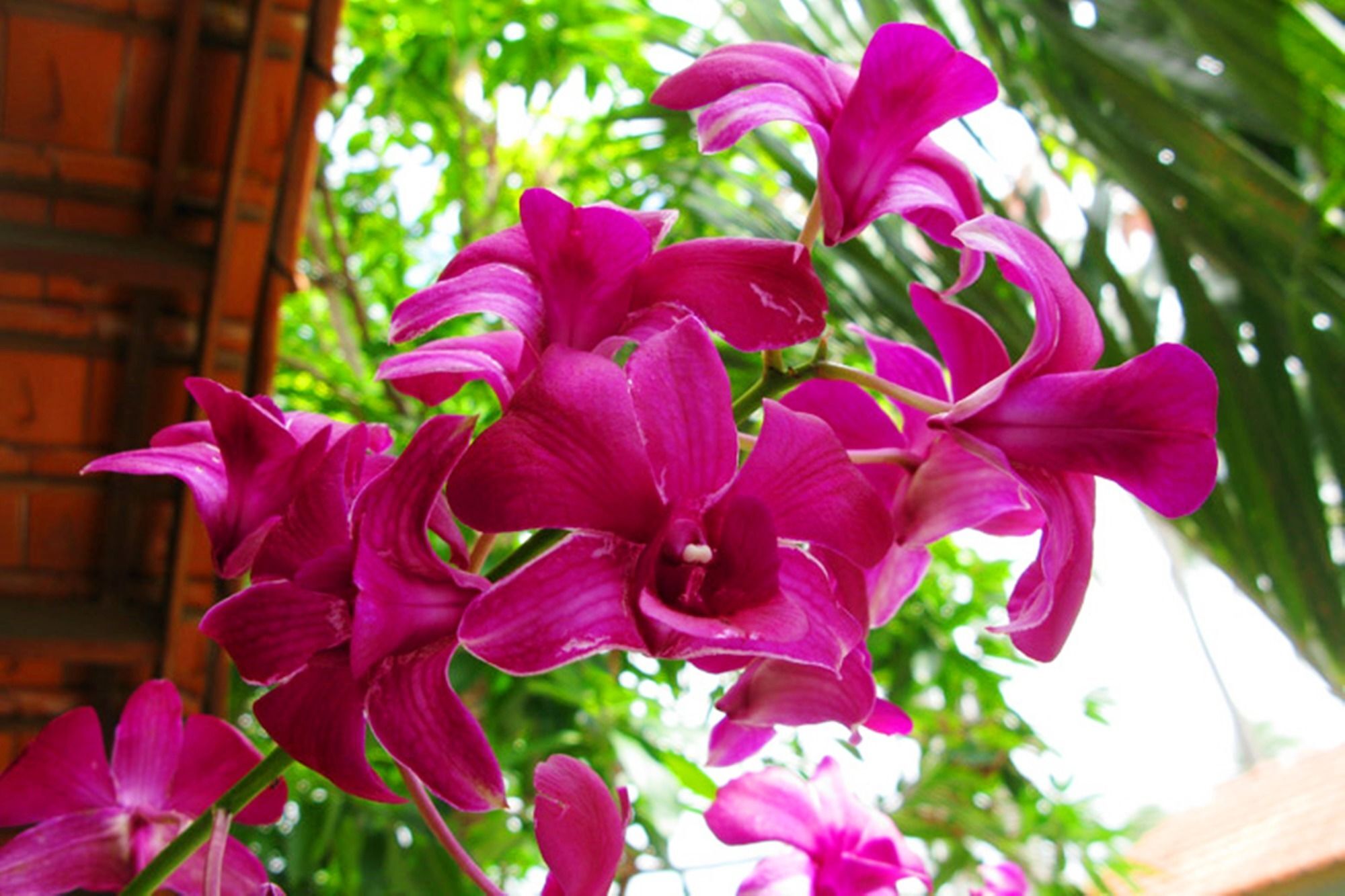 Hiep Hoa Resort Mũi Né Kültér fotó